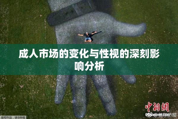 成人市场的变化与性视的深刻影响分析