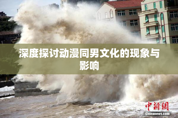 深度探讨动漫同男文化的现象与影响