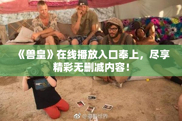 《兽皇》在线播放入口奉上，尽享精彩无删减内容！