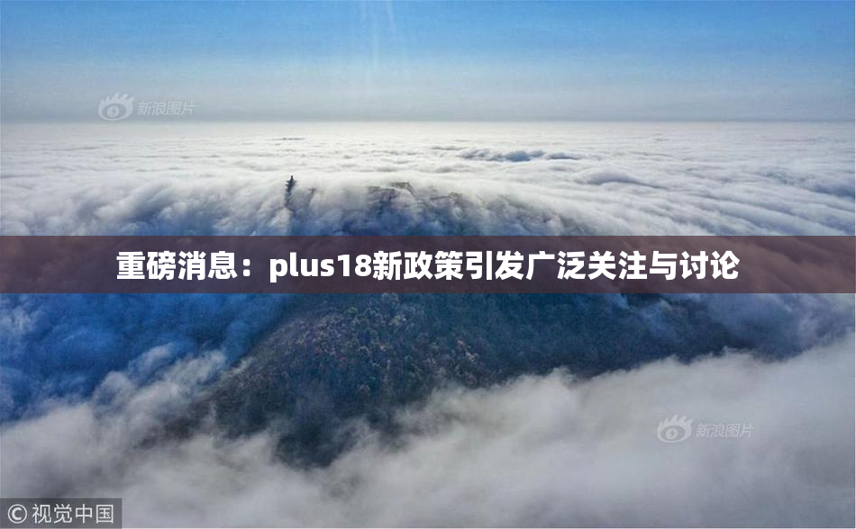 重磅消息：plus18新政策引发广泛关注与讨论