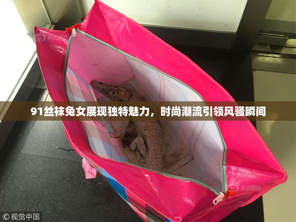 91丝袜兔女展现独特魅力，时尚潮流引领风骚瞬间
