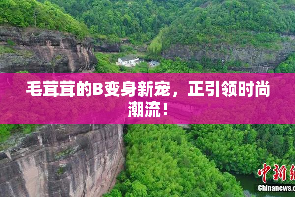 毛茸茸的B变身新宠，正引领时尚潮流！