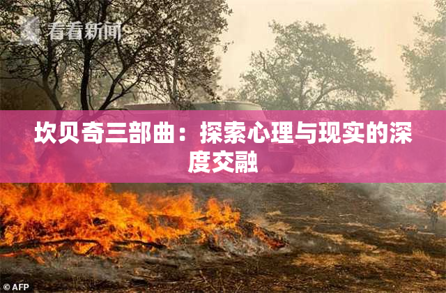 坎贝奇三部曲：探索心理与现实的深度交融