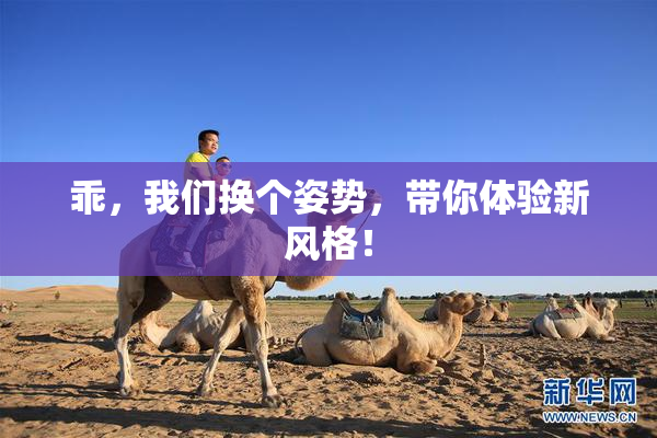 乖，我们换个姿势，带你体验新风格！