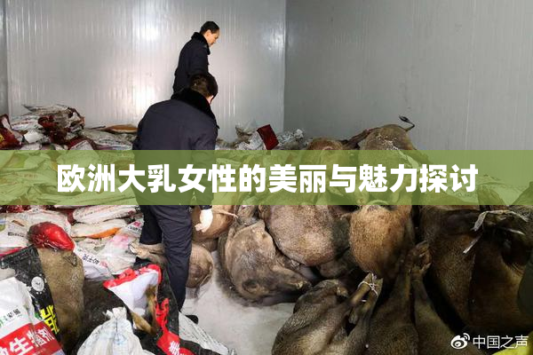 欧洲大乳女性的美丽与魅力探讨