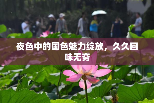 夜色中的国色魅力绽放，久久回味无穷