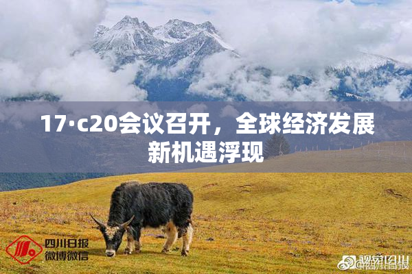 17·c20会议召开，全球经济发展新机遇浮现