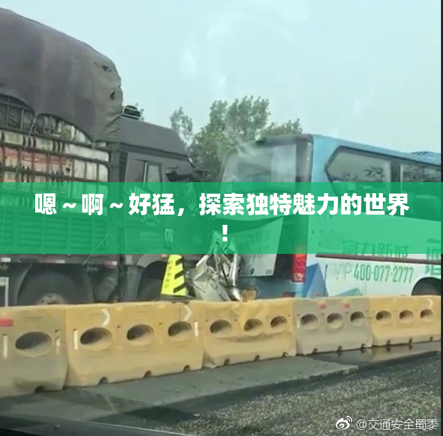 嗯～啊～好猛，探索独特魅力的世界！