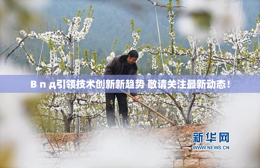 B n д引领技术创新新趋势 敬请关注最新动态！