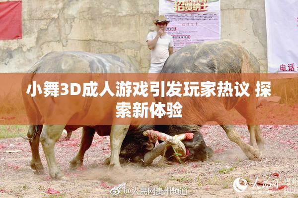 小舞3D成人游戏引发玩家热议 探索新体验