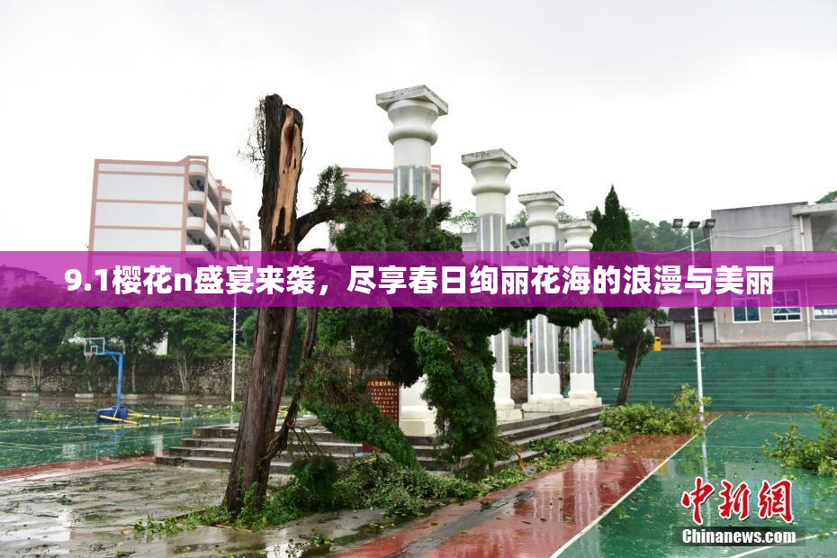 9.1樱花n盛宴来袭，尽享春日绚丽花海的浪漫与美丽