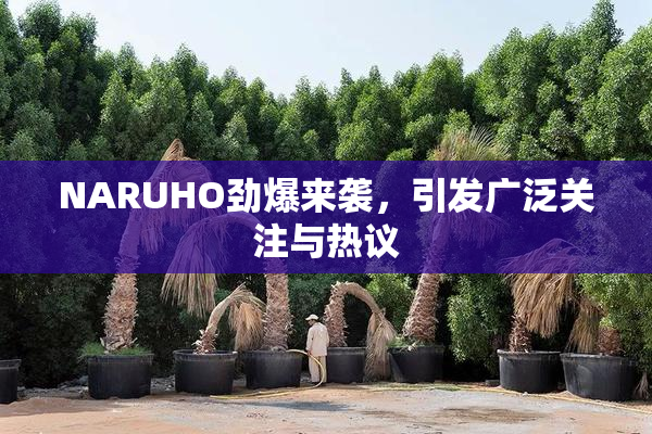 NARUHO劲爆来袭，引发广泛关注与热议