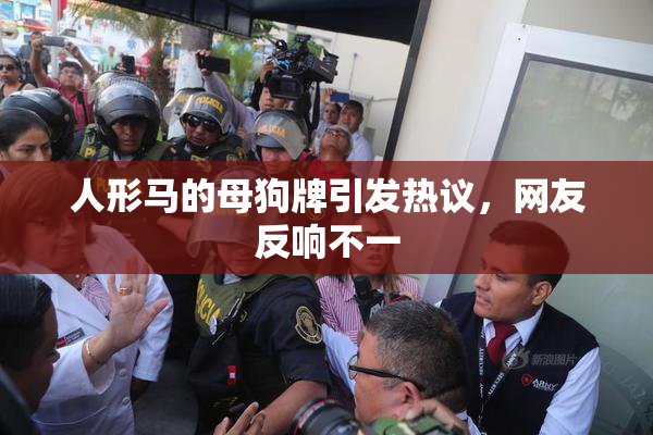 人形马的母狗牌引发热议，网友反响不一