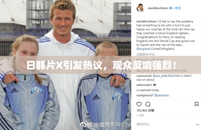 日韩片X引发热议，观众反响强烈！