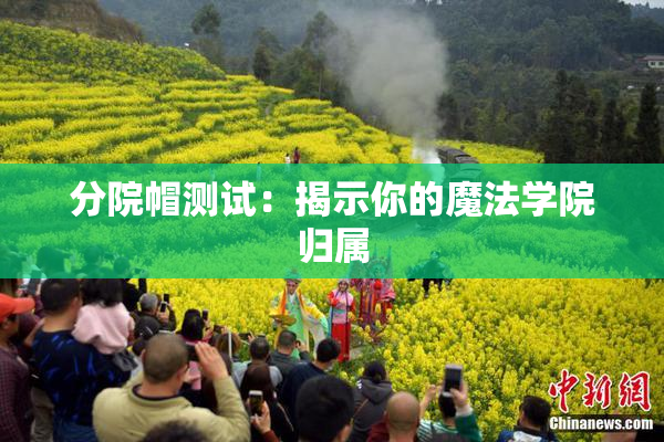 分院帽测试：揭示你的魔法学院归属