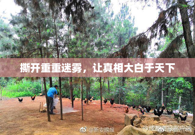 撕开重重迷雾，让真相大白于天下