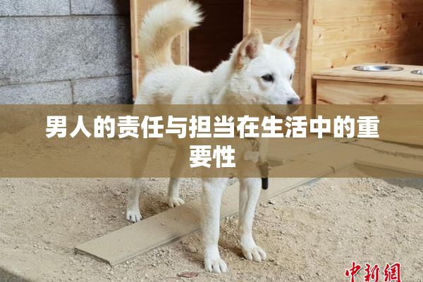 男人的责任与担当在生活中的重要性