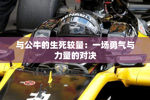 与公牛的生死较量：一场勇气与力量的对决