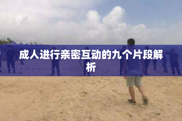 成人进行亲密互动的九个片段解析