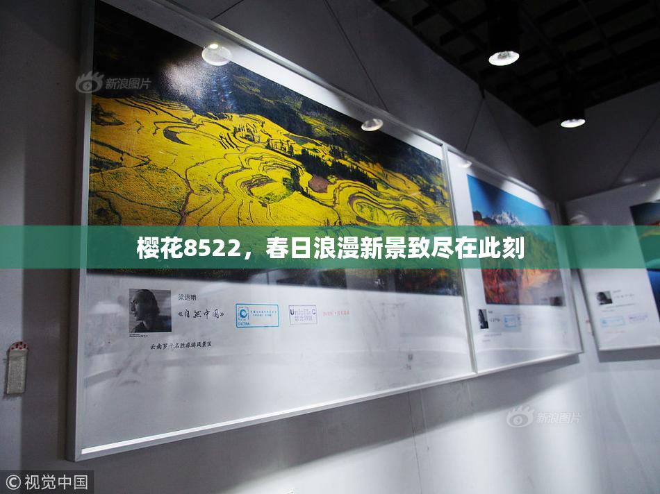 樱花8522，春日浪漫新景致尽在此刻