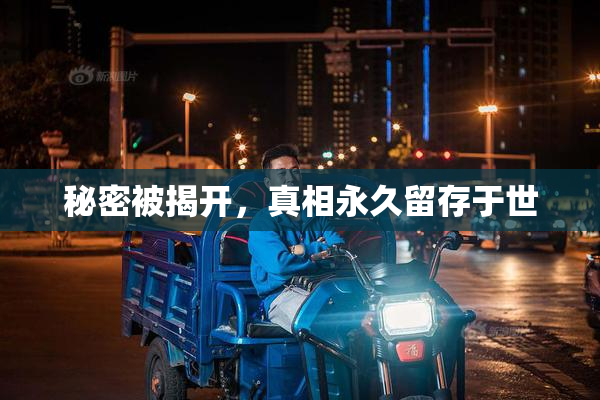 秘密被揭开，真相永久留存于世