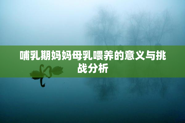 哺乳期妈妈母乳喂养的意义与挑战分析
