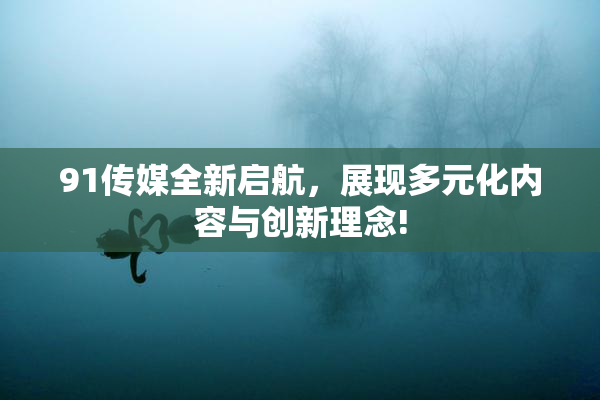 91传媒全新启航，展现多元化内容与创新理念!