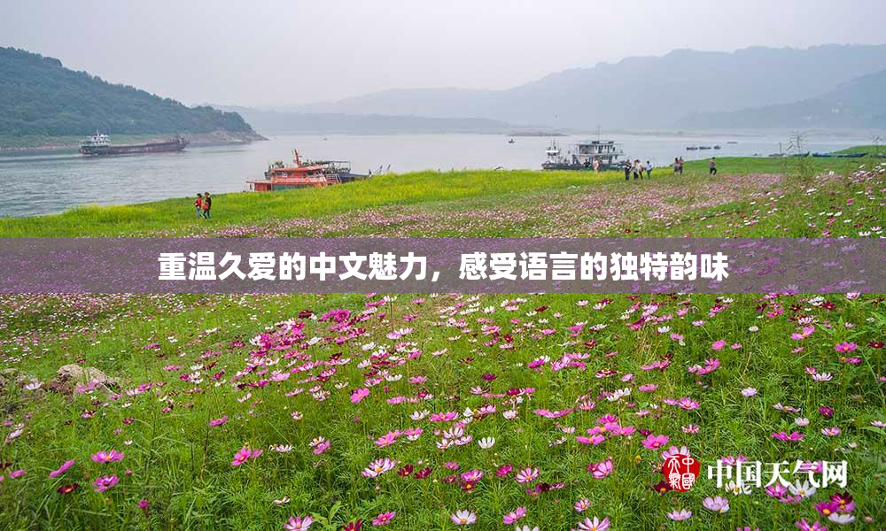 重温久爱的中文魅力，感受语言的独特韵味