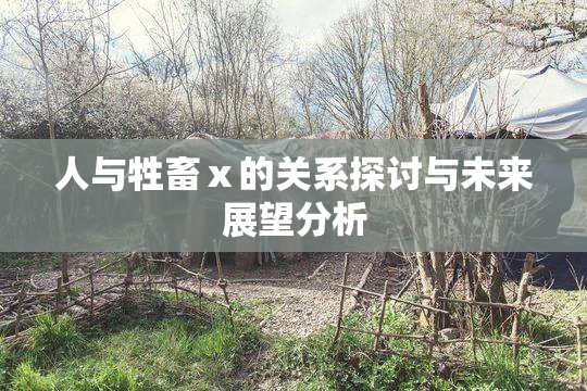 人与牲畜ⅹ的关系探讨与未来展望分析