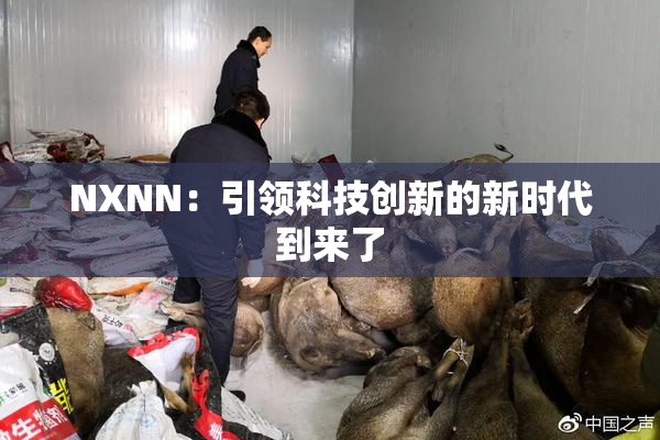 NXNN：引领科技创新的新时代到来了