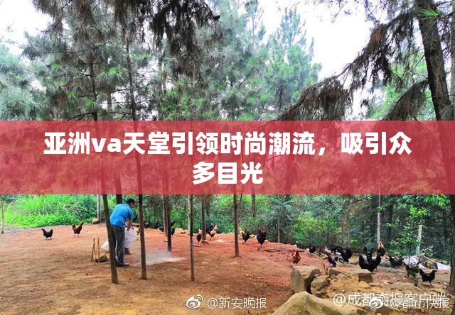 亚洲va天堂引领时尚潮流，吸引众多目光