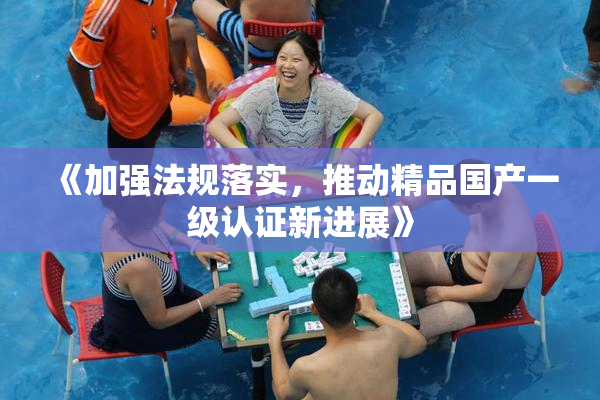 《加强法规落实，推动精品国产一级认证新进展》
