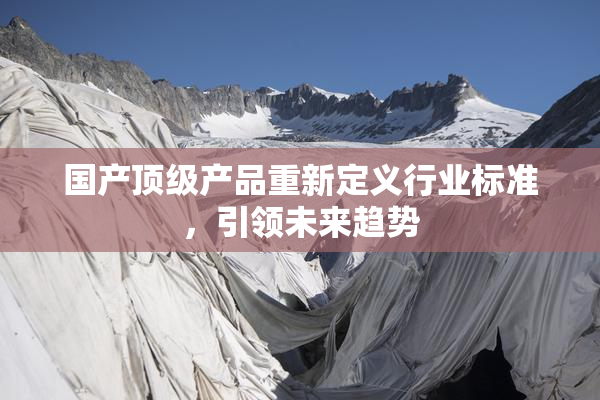 国产顶级产品重新定义行业标准，引领未来趋势