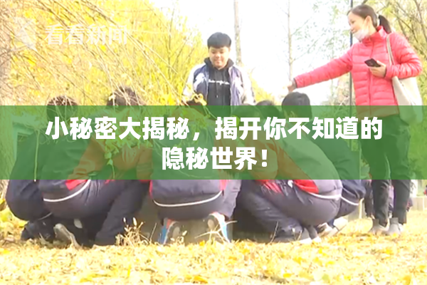 小秘密大揭秘，揭开你不知道的隐秘世界！