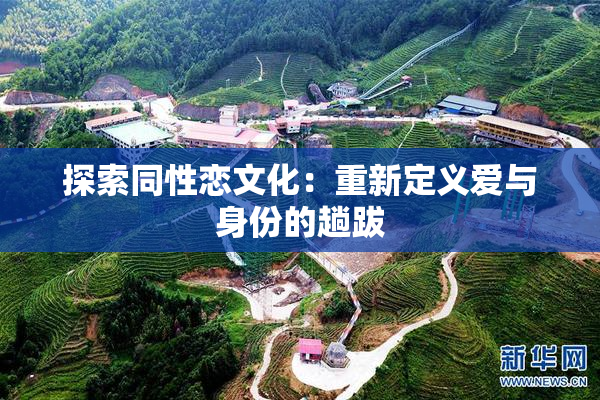 探索同性恋文化：重新定义爱与身份的趟跋