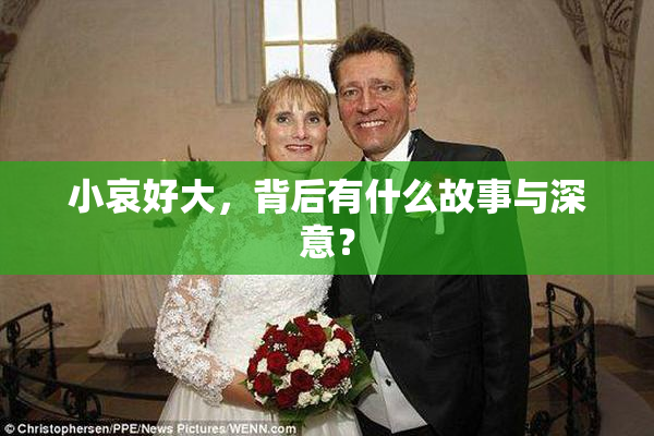 小哀好大，背后有什么故事与深意？
