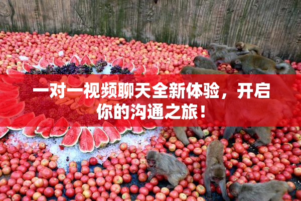 一对一视频聊天全新体验，开启你的沟通之旅！