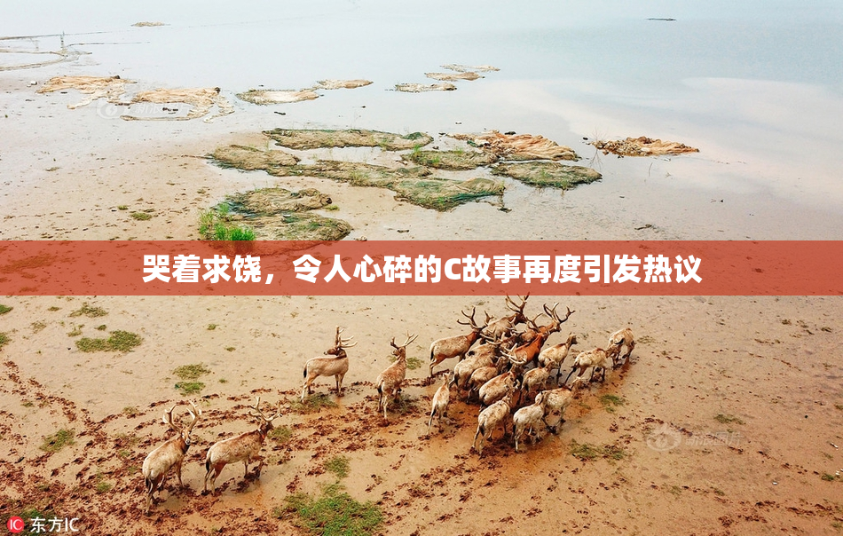 哭着求饶，令人心碎的C故事再度引发热议