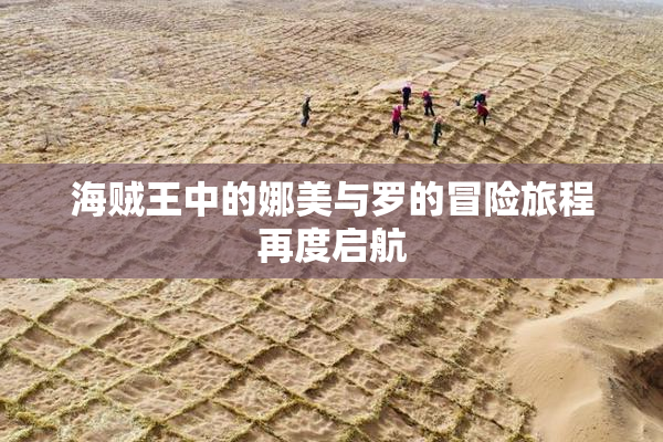 海贼王中的娜美与罗的冒险旅程再度启航
