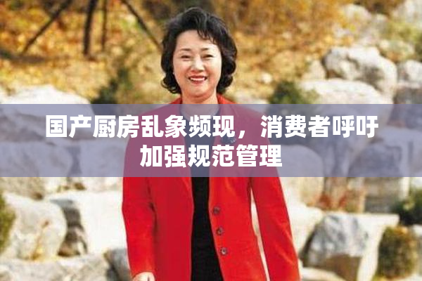 国产厨房乱象频现，消费者呼吁加强规范管理