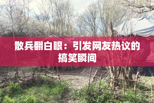 散兵翻白眼：引发网友热议的搞笑瞬间