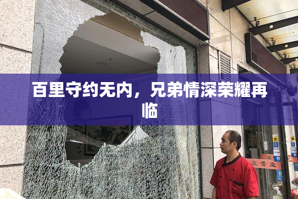 百里守约无内，兄弟情深荣耀再临