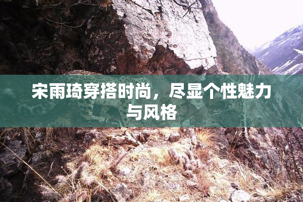 宋雨琦穿搭时尚，尽显个性魅力与风格