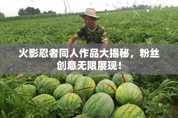 火影忍者同人作品大揭秘，粉丝创意无限展现！