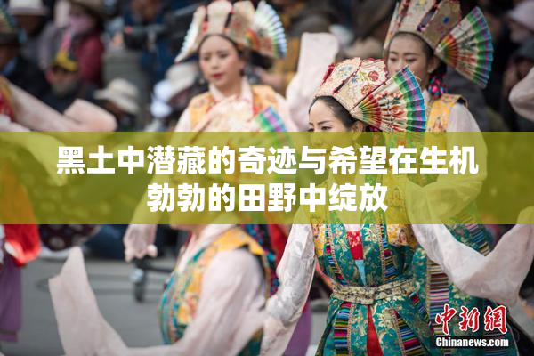 黑土中潜藏的奇迹与希望在生机勃勃的田野中绽放