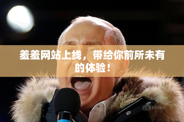 羞羞网站上线，带给你前所未有的体验！
