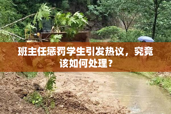 班主任惩罚学生引发热议，究竟该如何处理？