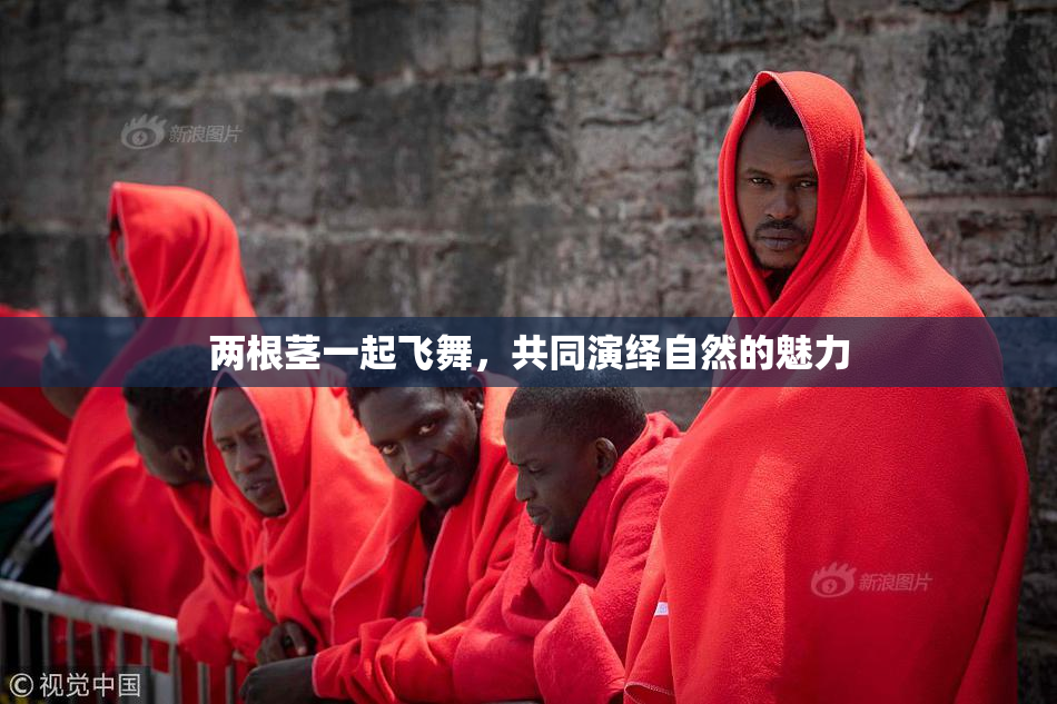 两根茎一起飞舞，共同演绎自然的魅力