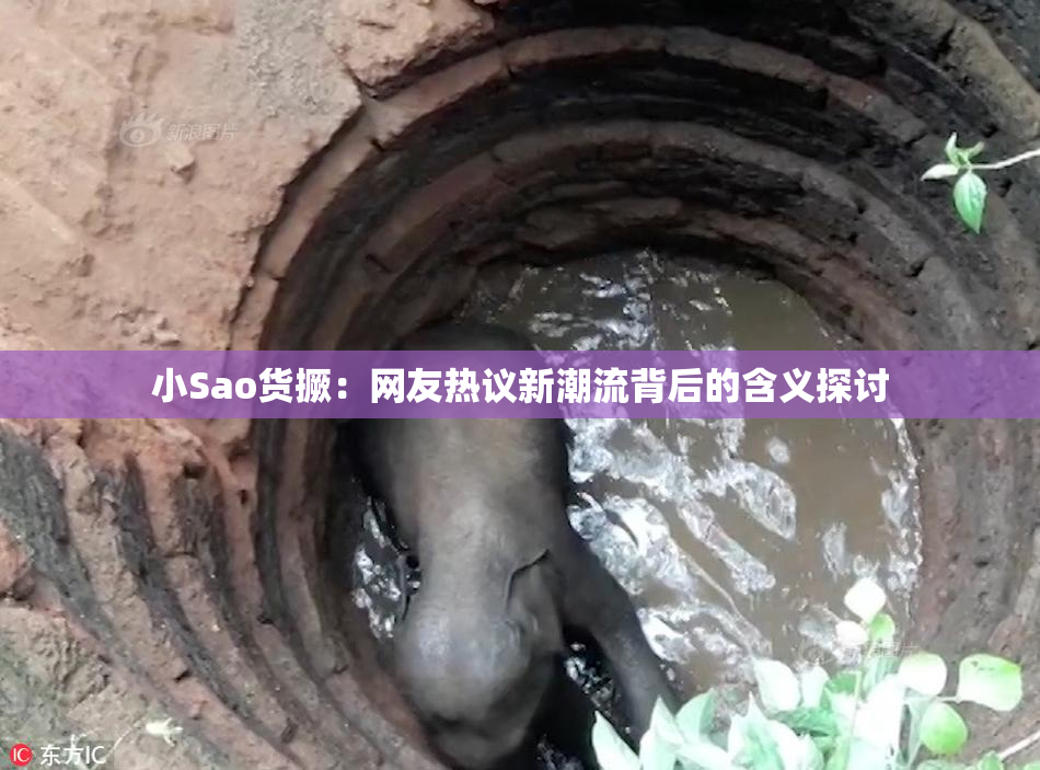 小Sao货撅：网友热议新潮流背后的含义探讨