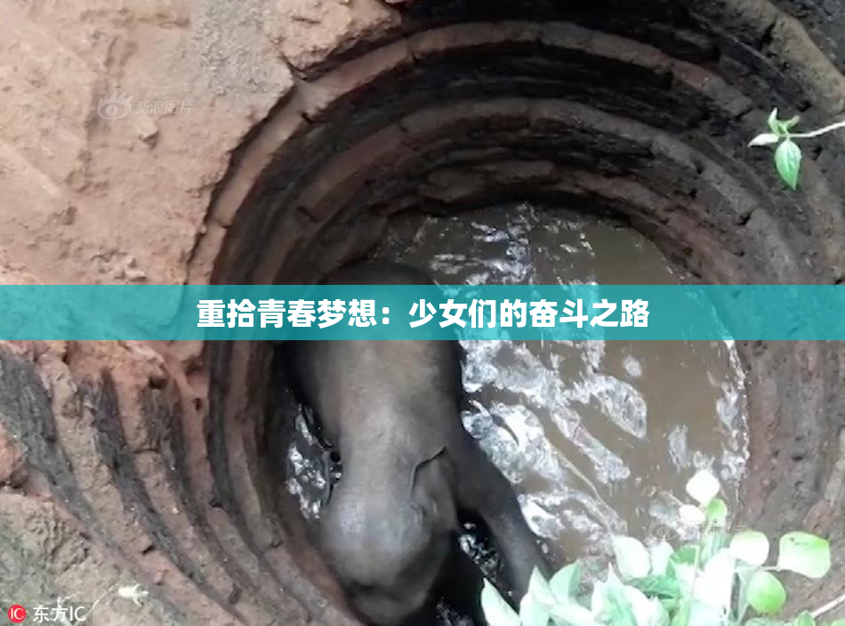 重拾青春梦想：少女们的奋斗之路